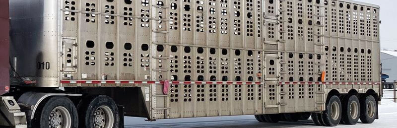 Livestock Trailer